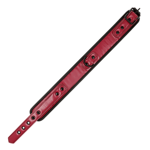Top-view of a BDSM collar with leash made from vegan leather in red and black colour