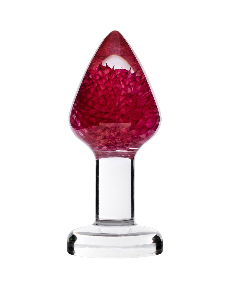 Gomphrena Globosa Garden Flower Analplug | Transparent 3,9 cm